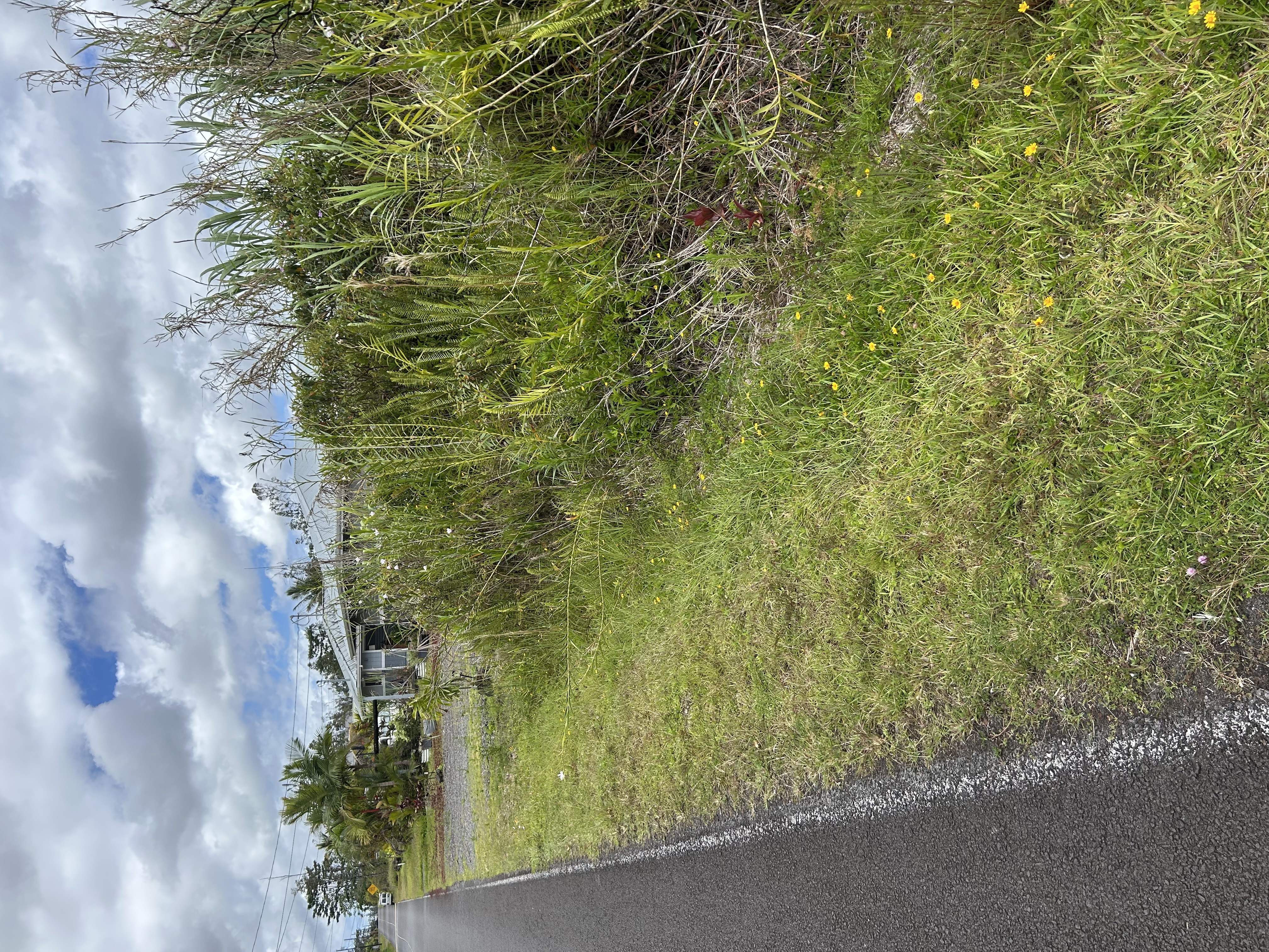 Property Photo: Silversword Dr HI 96778