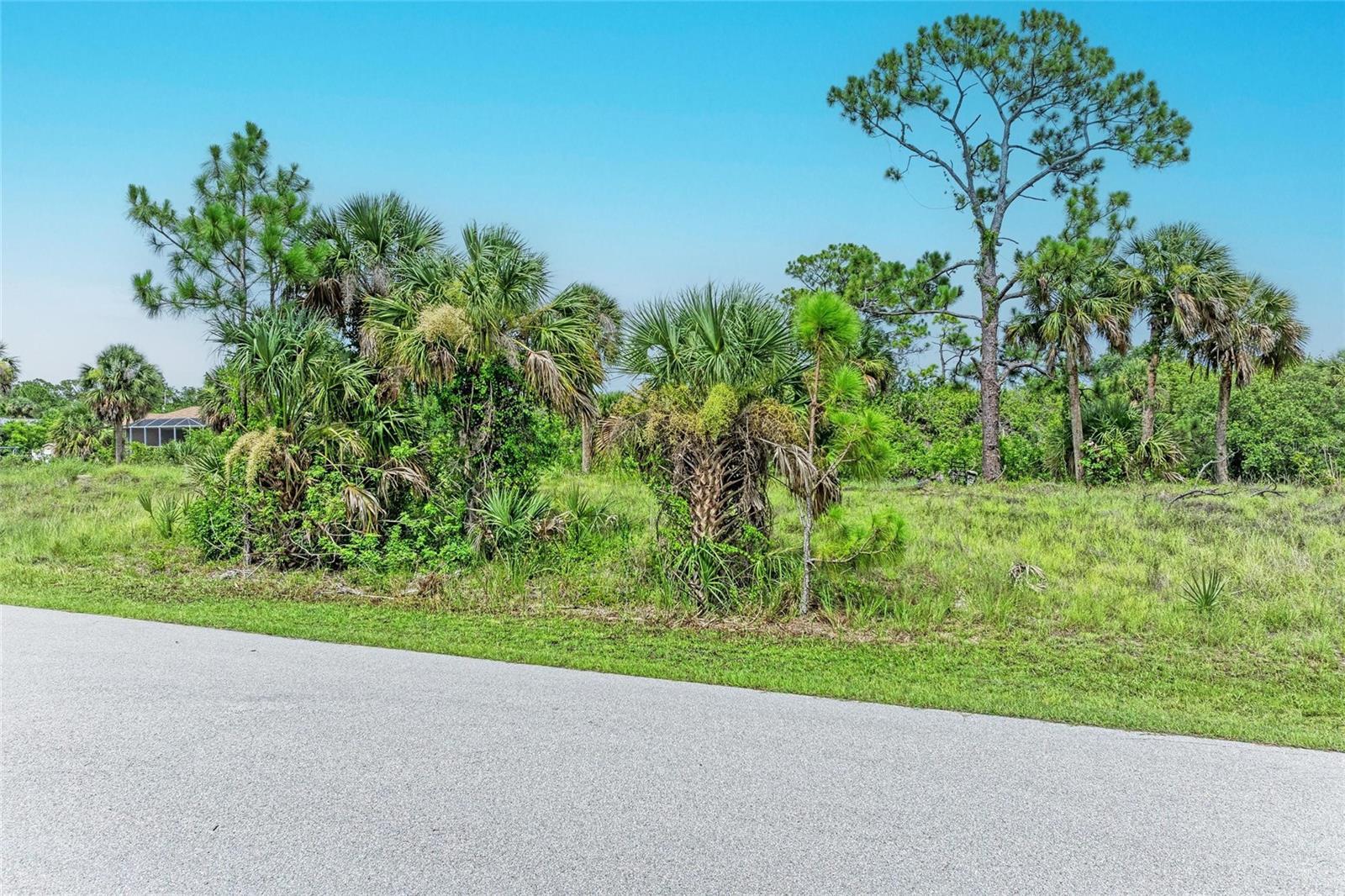 Property Photo:  2296 Hale Street  FL 33953 