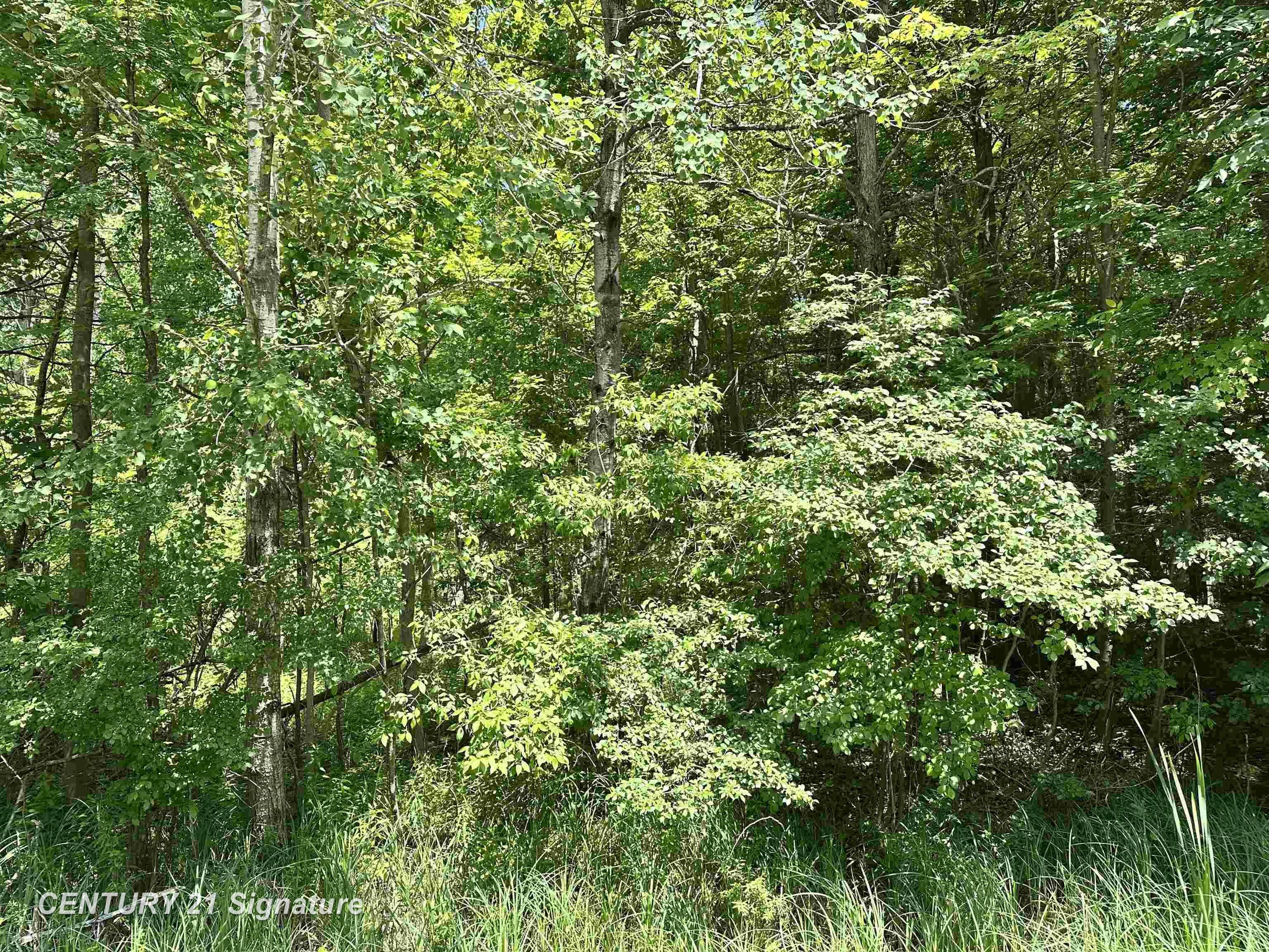 Property Photo: Vl Pinconning Road MI 48612