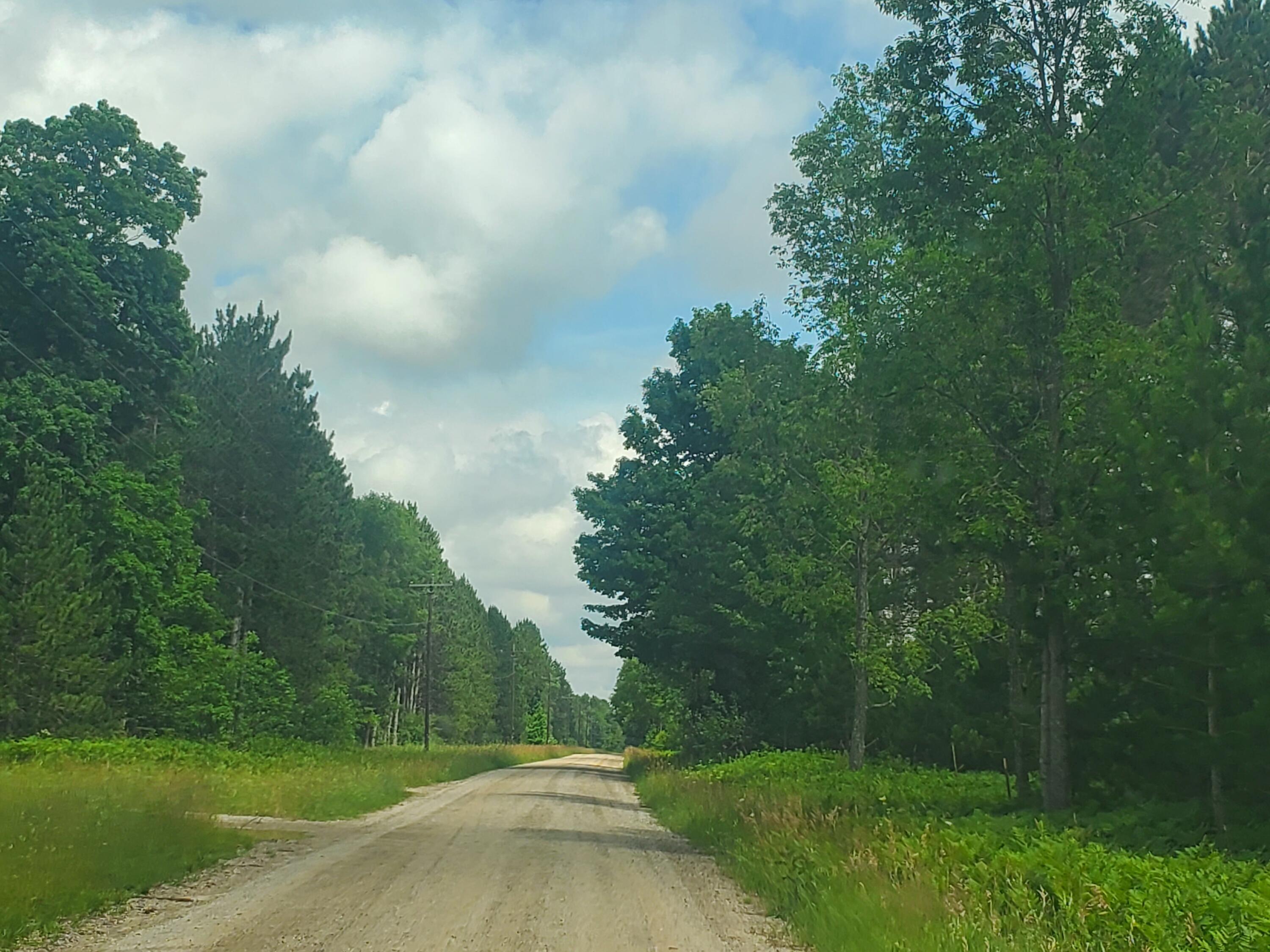 Property Photo:  80 Acres Beall Road  MI 49614 