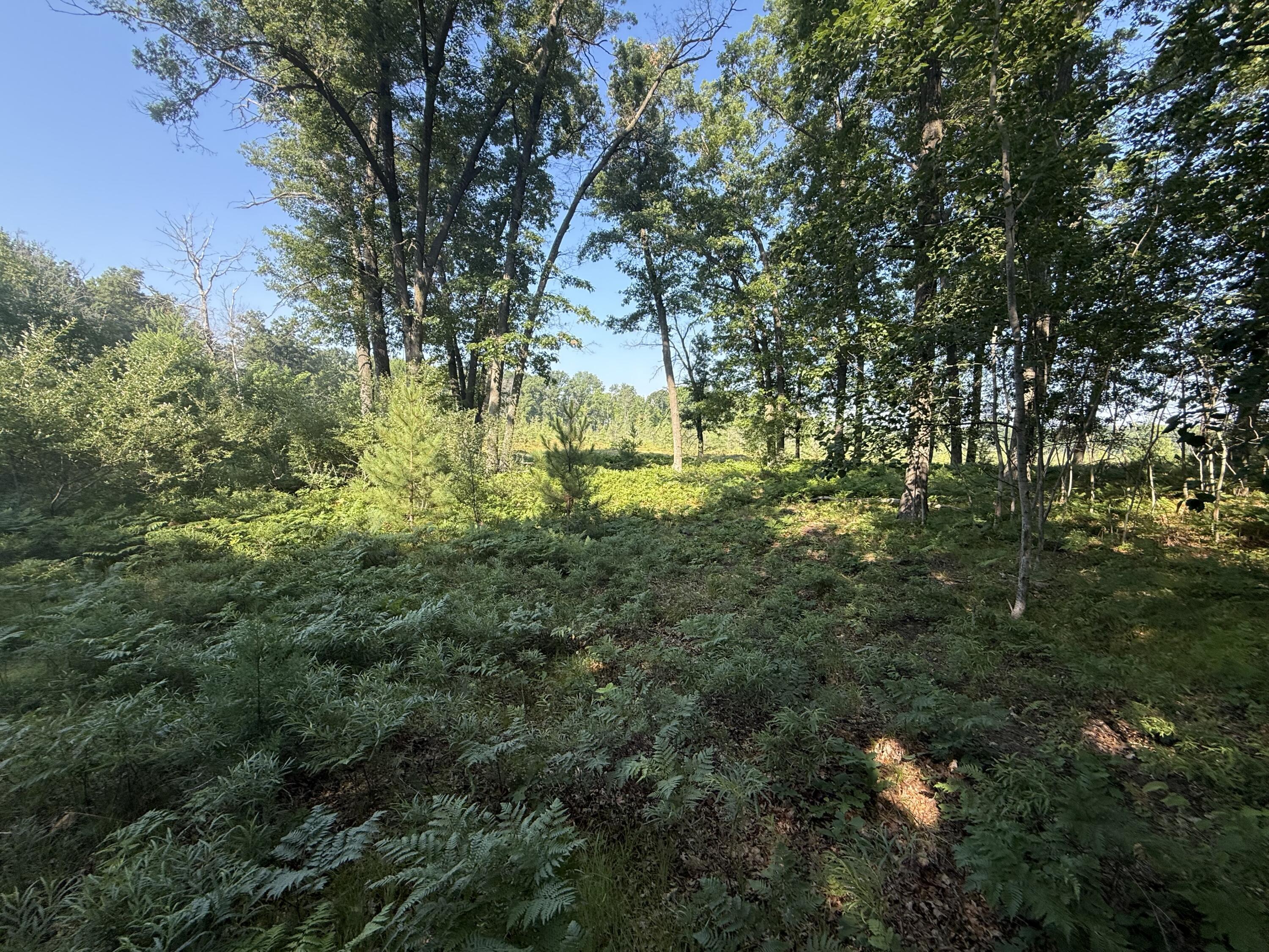 Property Photo: Tbd W Royal Road MI 49346