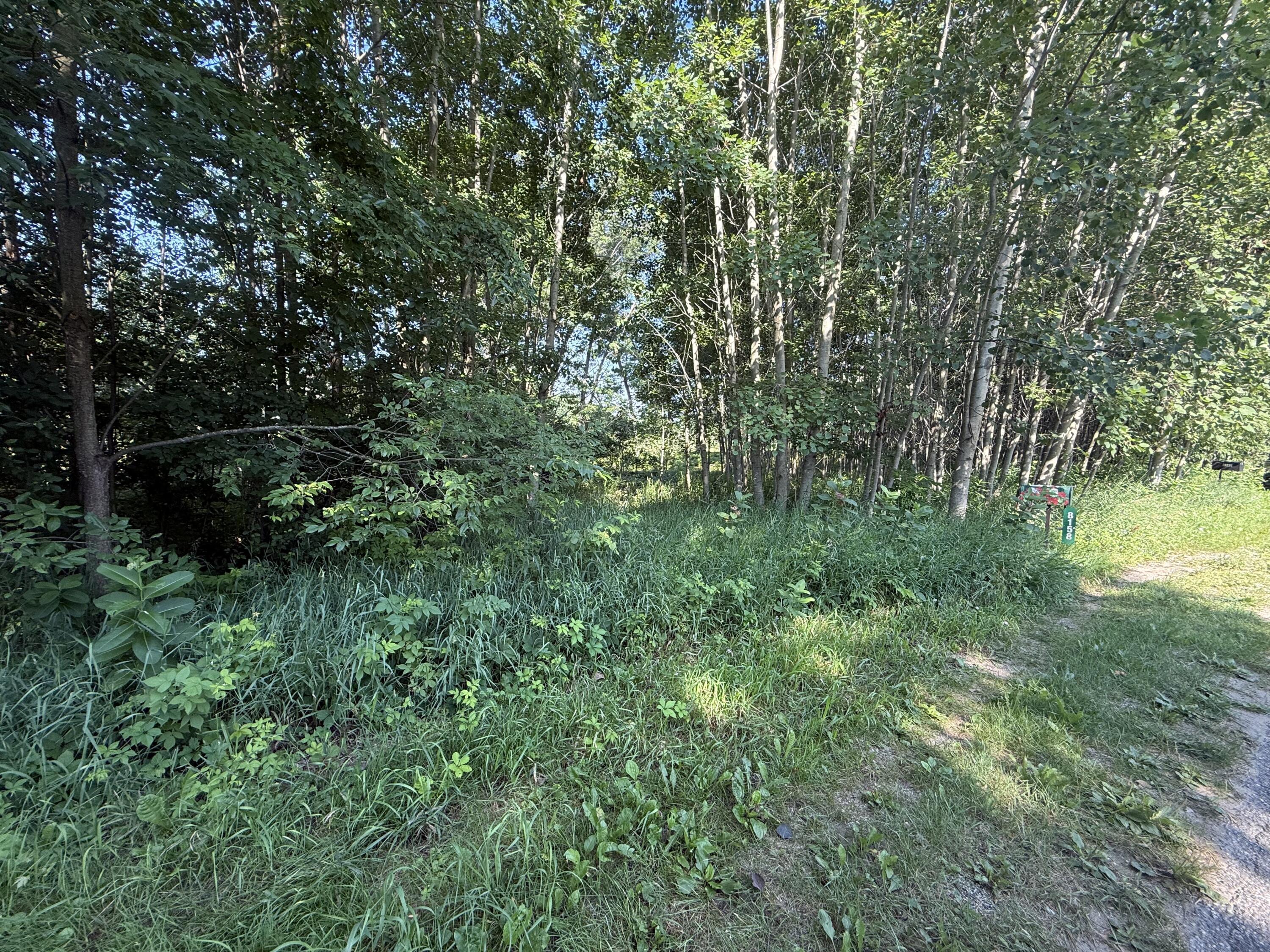 Property Photo:  Tbd W Royal Road  MI 49346 