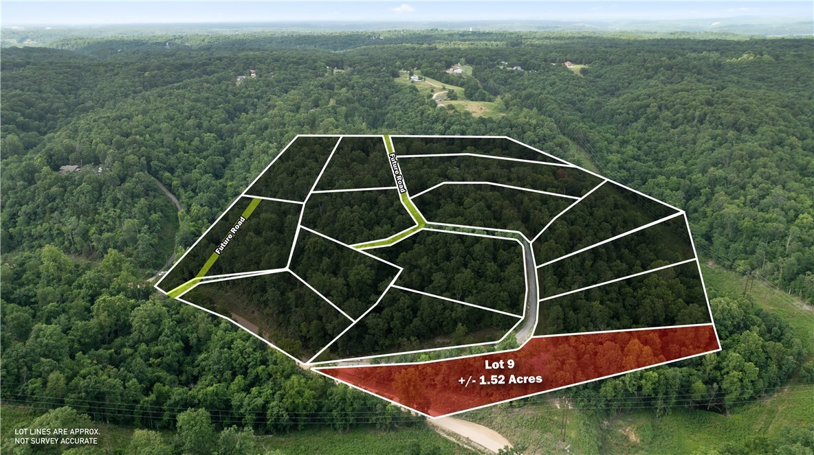 Esculapia Hollow Road Lot 9  Rogers AR 72758 photo