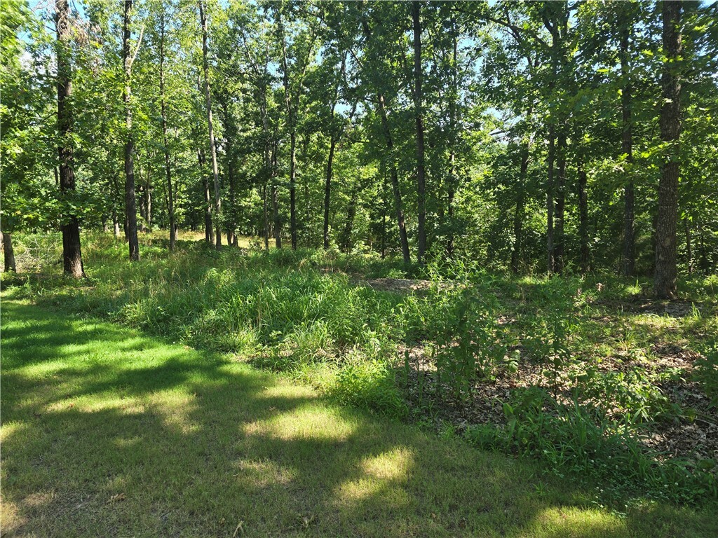 Property Photo:  Esculapia Hollow Road Lot 8  AR 72758 