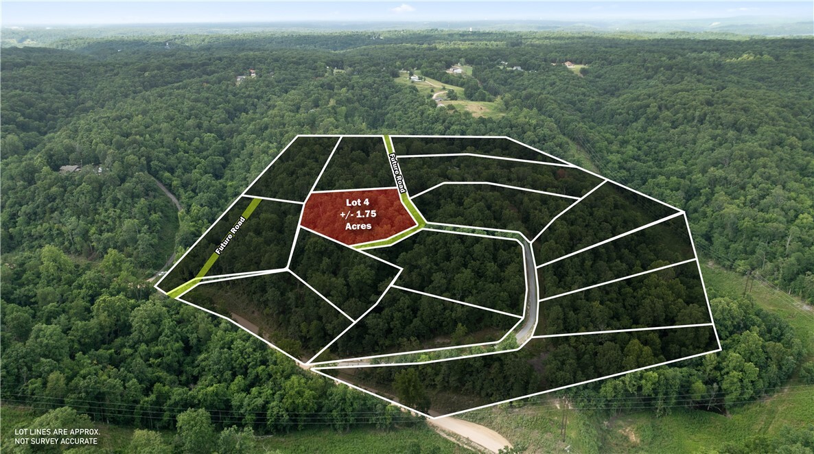 Esculapia Hollow Road Lot 4  Rogers AR 72758 photo