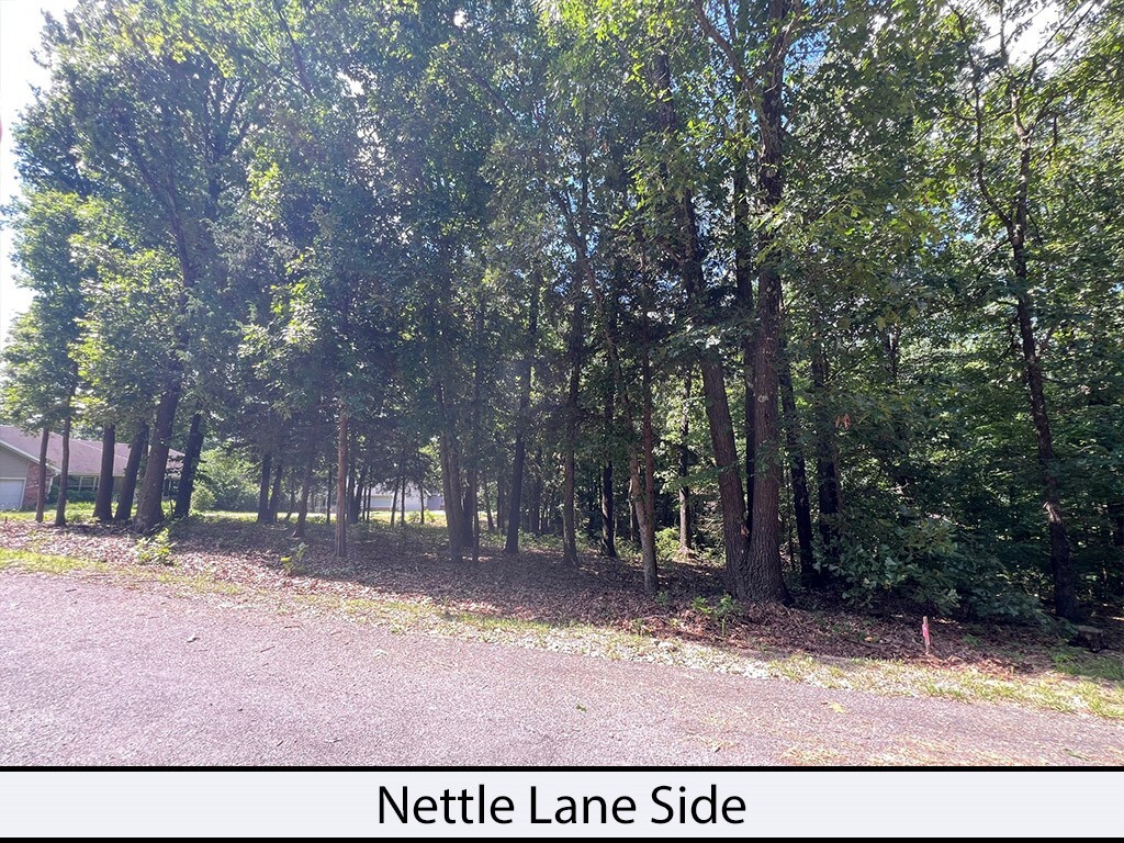 Property Photo:  Nettle Lane  AR 72714 