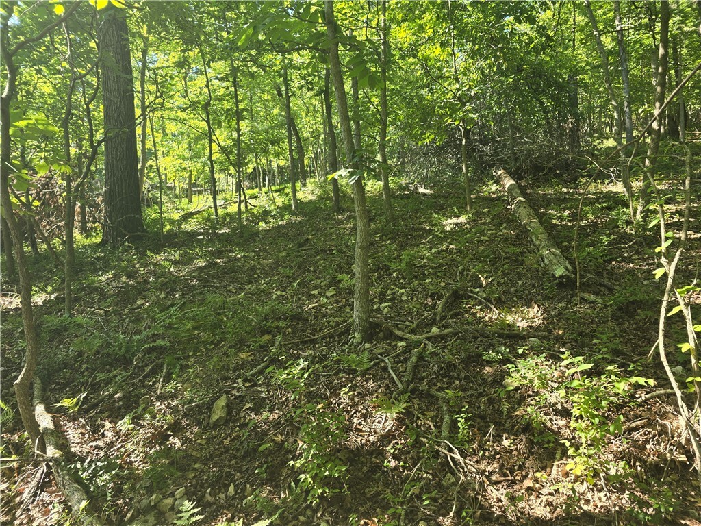 Property Photo:  Esculapia Hollow Road Lot 5  AR 72758 
