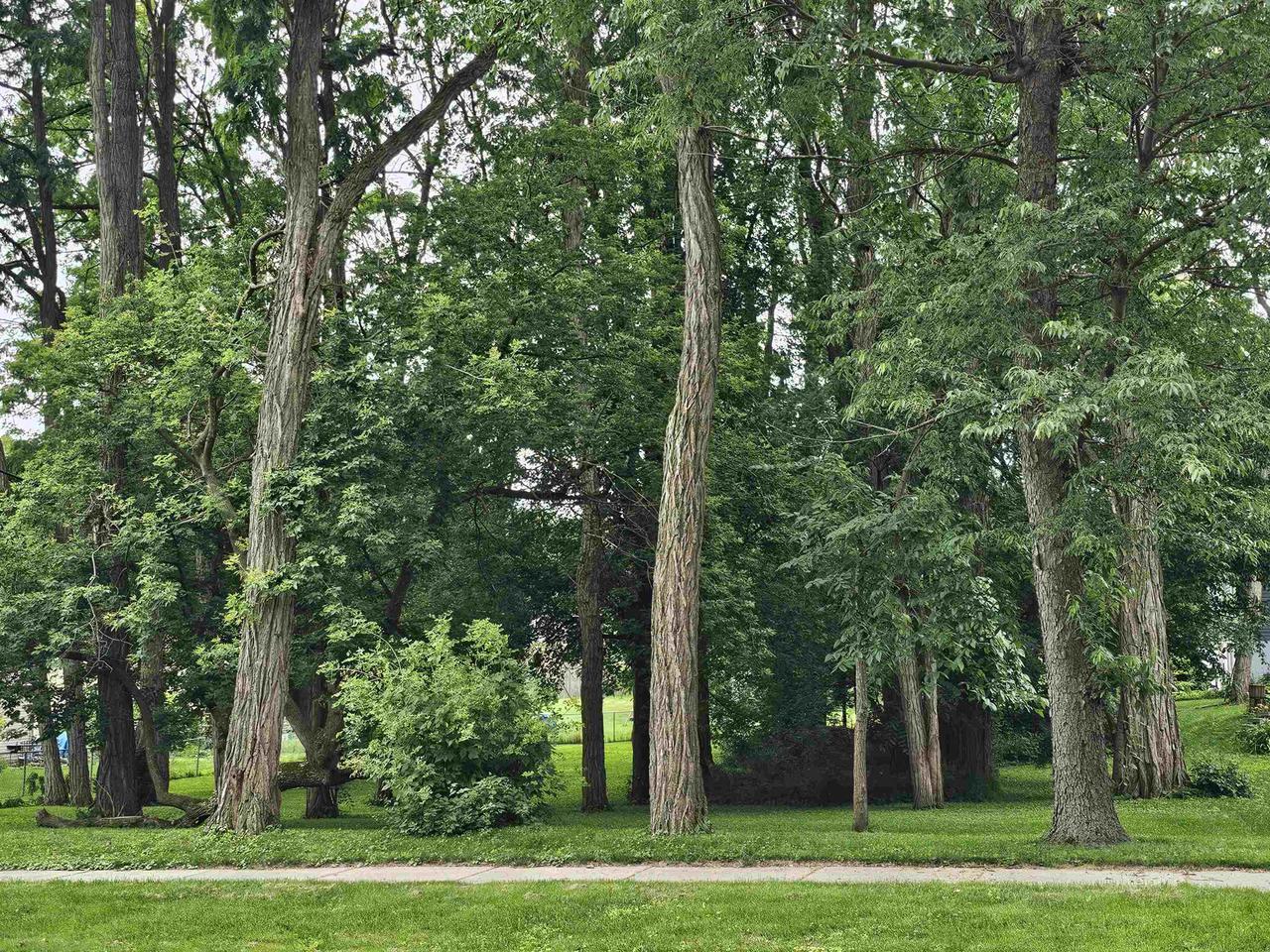 Property Photo: 2411 West Memorial Drive WI 53548