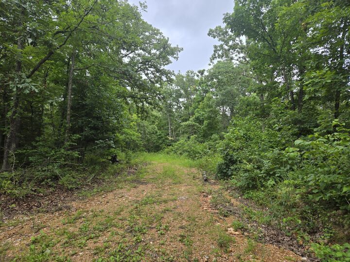 Property Photo: Tbd County Road 481W MO 65634