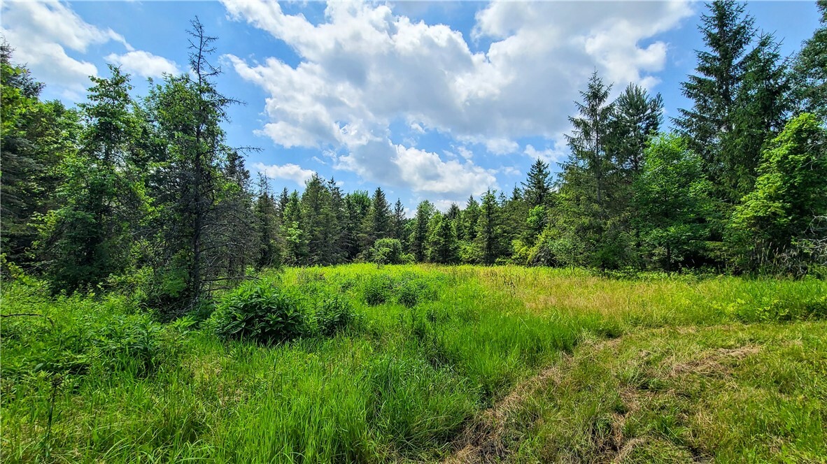 Property Photo: 5185 Terrell Road NY 14886