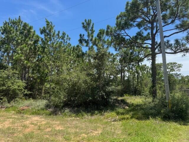 Property Photo: 0 Sundown Drive FL 32566