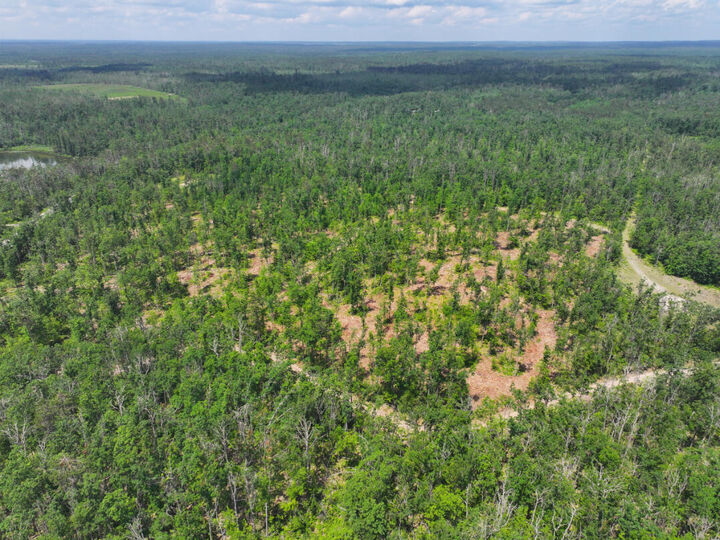 Property Photo: V/L 10.83a Meridian Line Road MI 49751