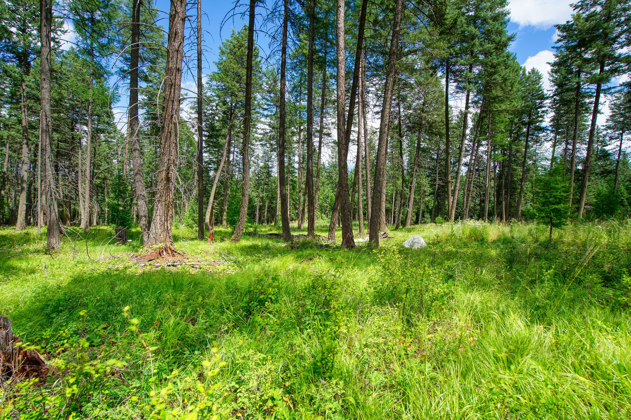 161 Rosewood Lot 10  Whitefish MT 59937 photo