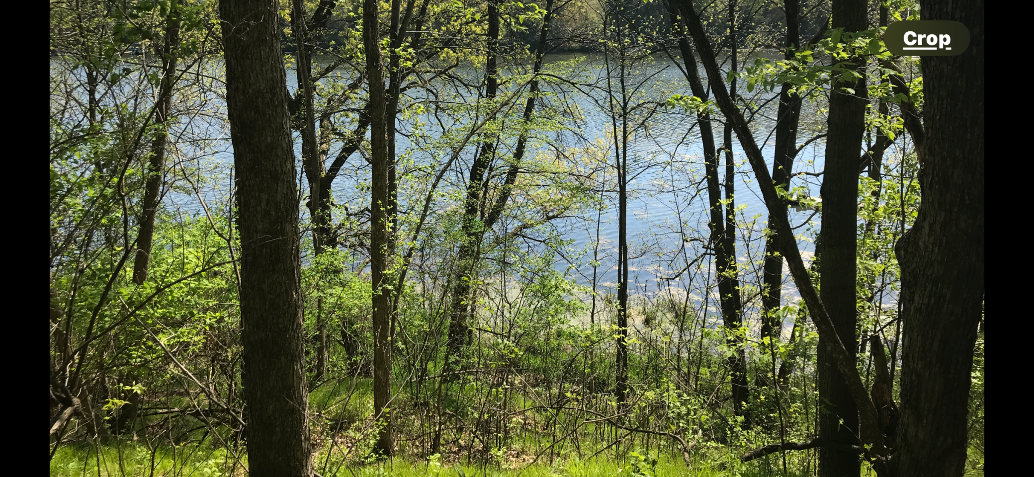 Property Photo: 1474 195th Ave WI 54810