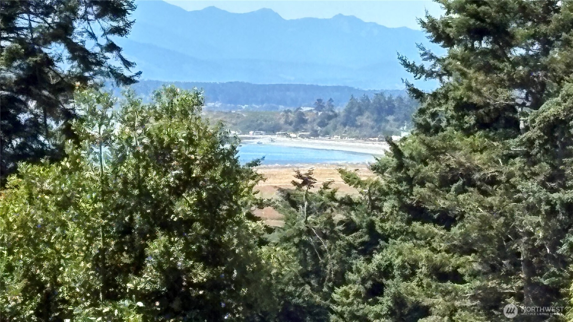 Property Photo: 1105 Halsey Drive WA 98239