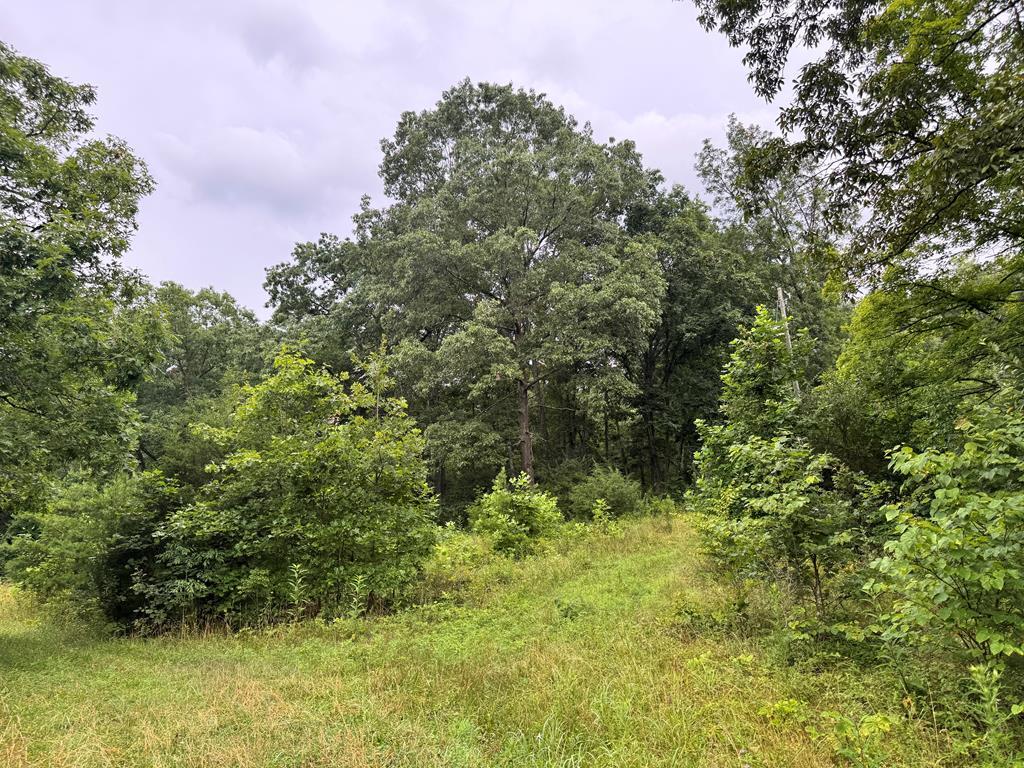 Property Photo:  512 Pleasant Hill Road  OH 45690 