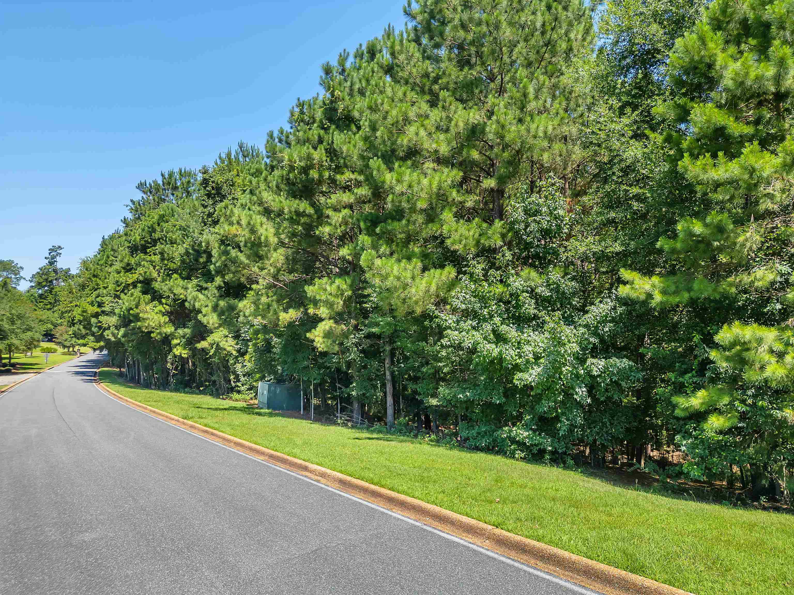 Property Photo: 0 Shoal Creek Drive FL 32312