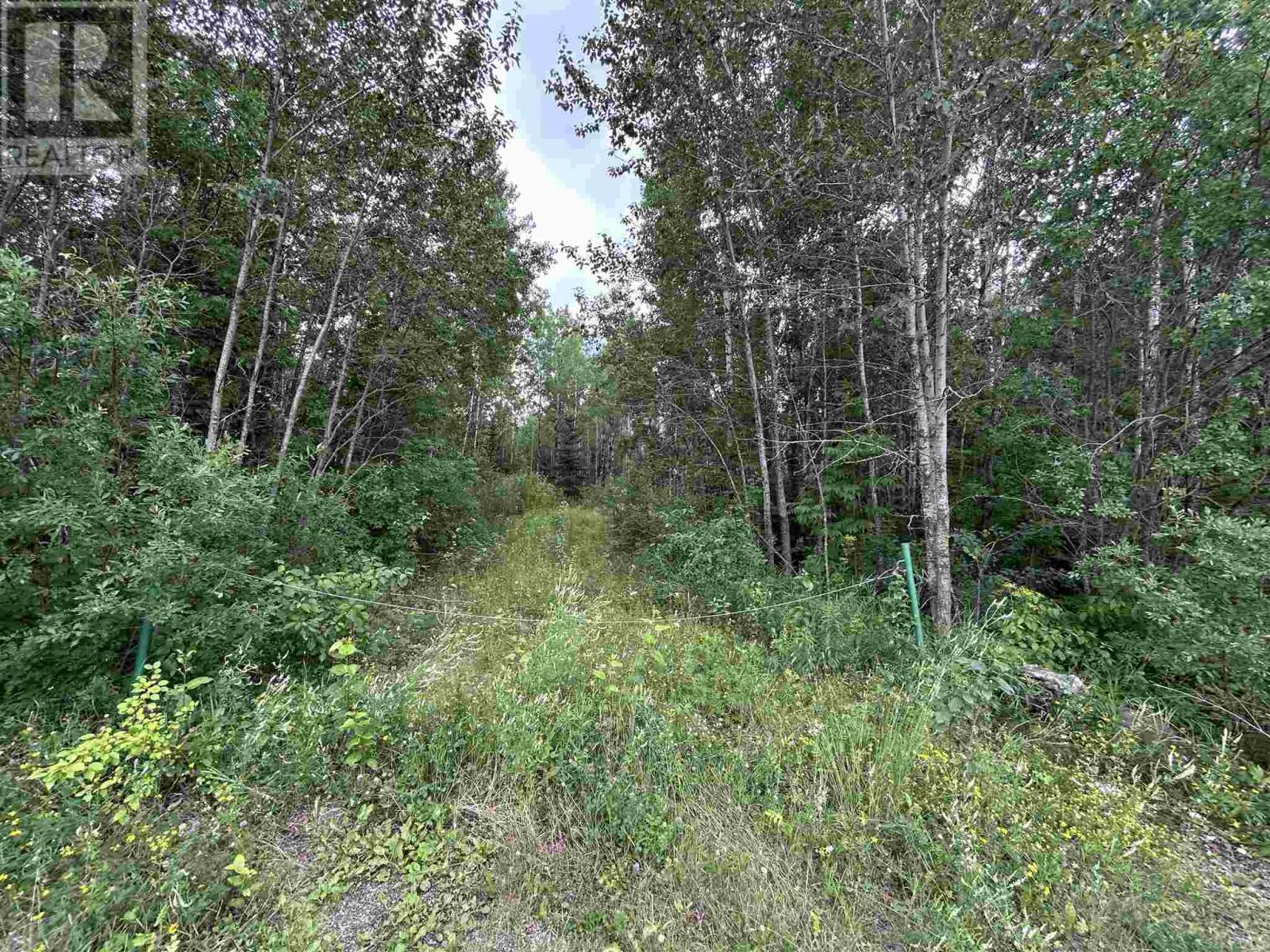 905 Frog Creek Rd  Alberton ON P9A 3M2 photo