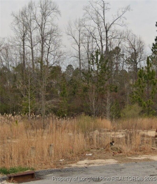 Property Photo:  90 Pedley Place  NC 28326 