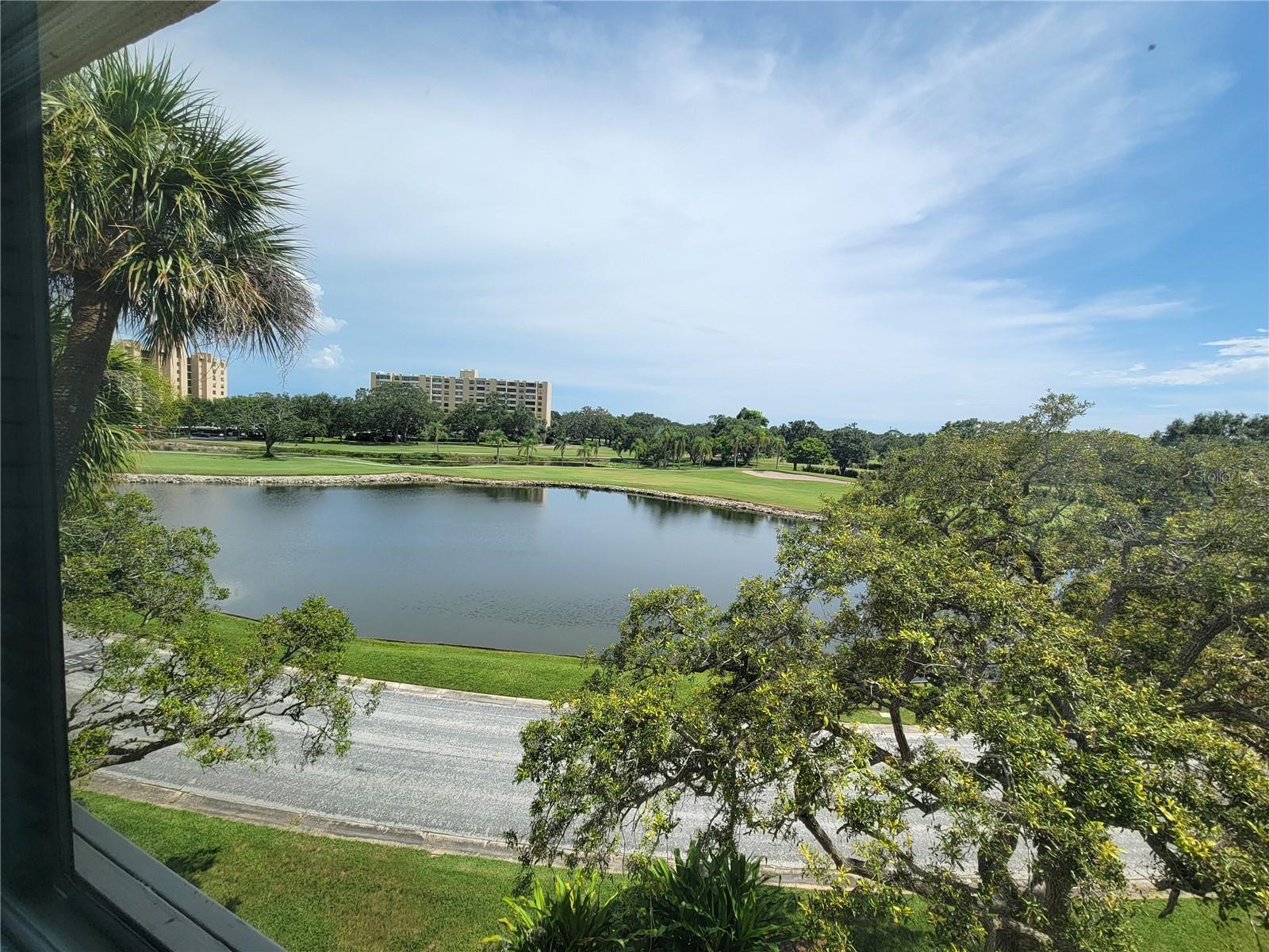 Property Photo:  2615 Cove Cay Drive 401  FL 33760 