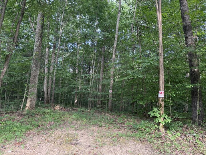 0 Pryor Lane  Westmoreland TN 37186 photo