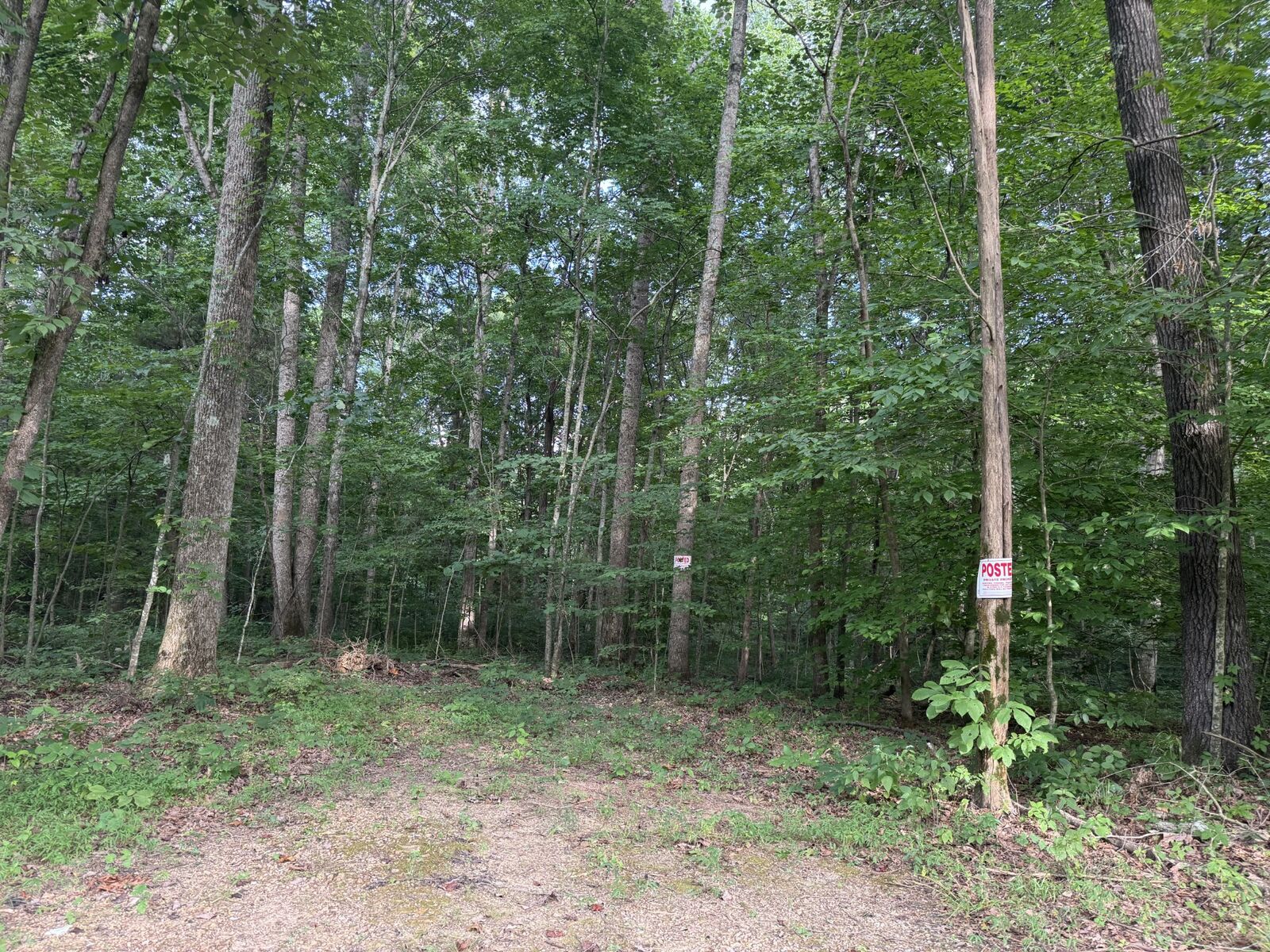 Property Photo:  0 Pryor Lane  TN 37186 