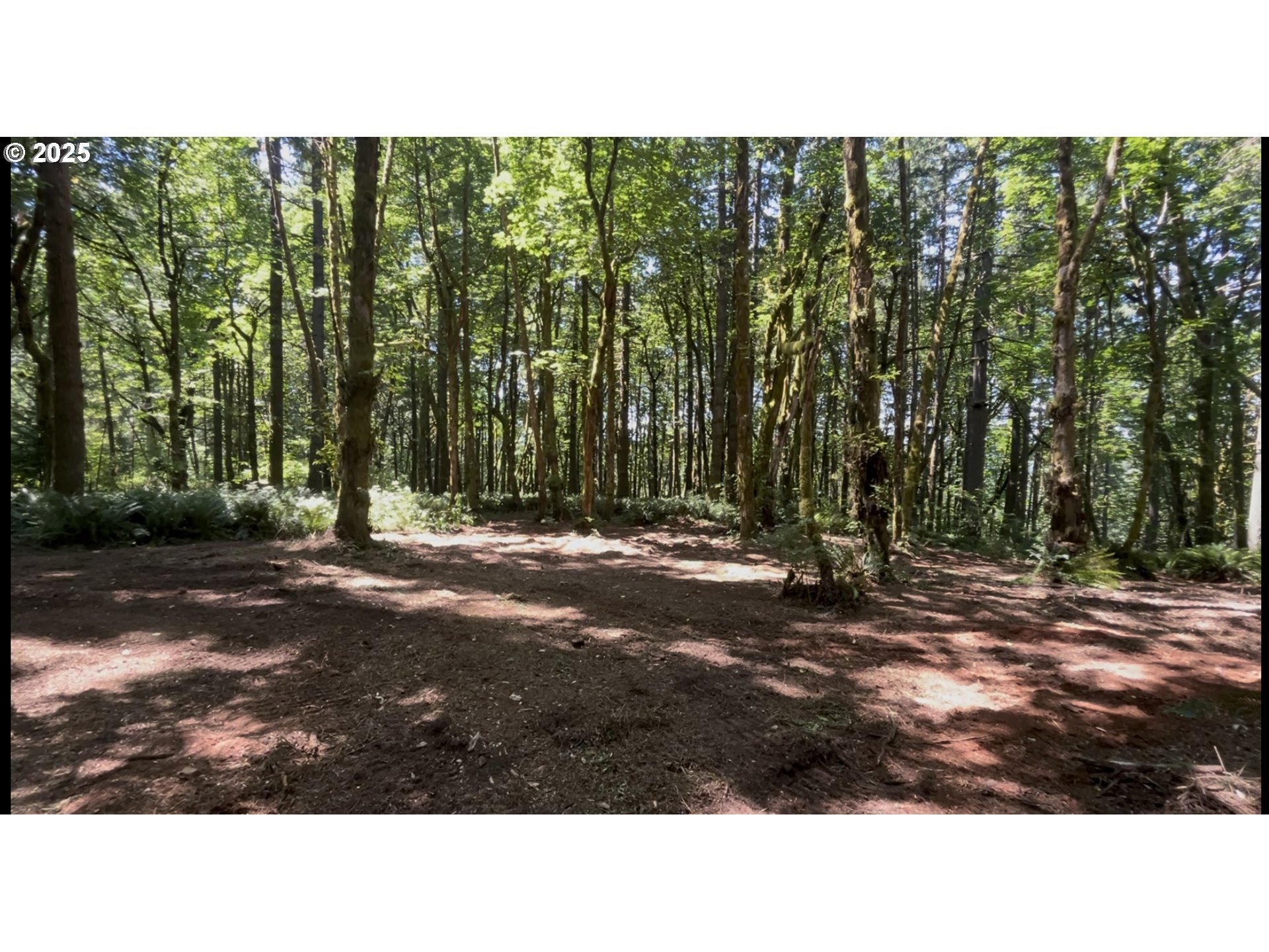 Property Photo:  0 NE 171st Ct  WA 98675 