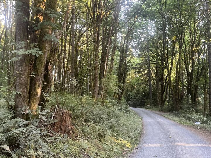 Property Photo:  0 NE 171st Ct  WA 98675 