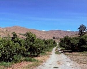 0  Hwy 153  Pateros WA 98846 photo