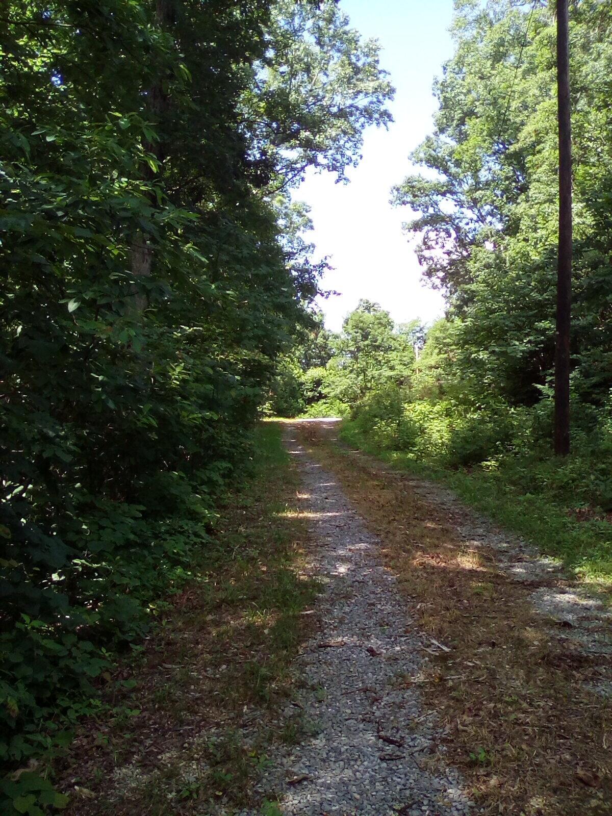 Property Photo:  555 Switzer Mountain Rd  VA 24090 