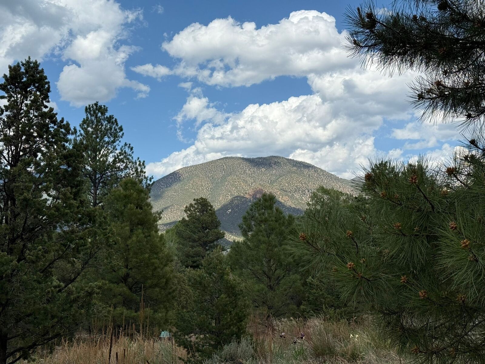 Property Photo:  2318 Old Red River Road  NM 87556 