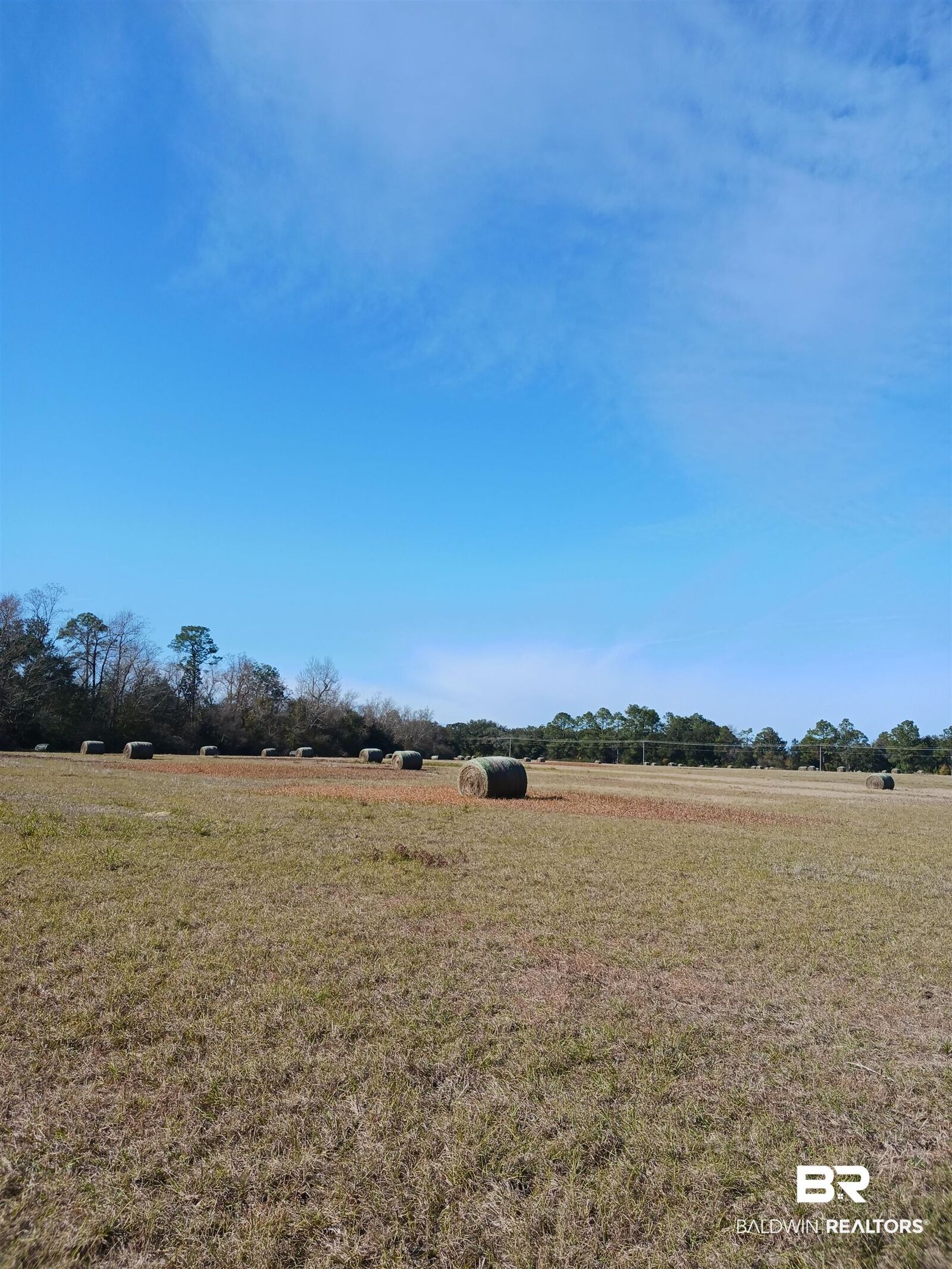Property Photo:  23486 County Road 36  AL 36580 