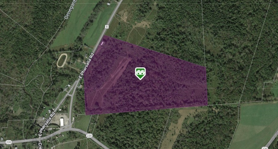 Property Photo: 164 County Road 8 NY 13801