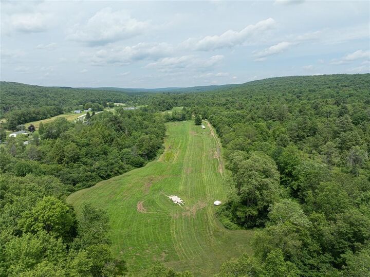 Property Photo:  164 County Road 8  NY 13801 
