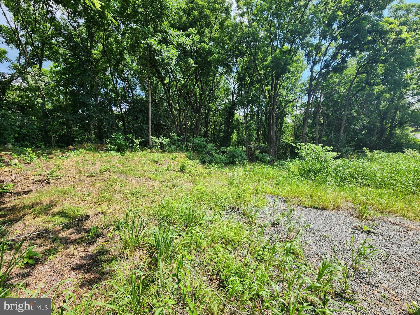 Property Photo: 0 Brownsville PA 19608