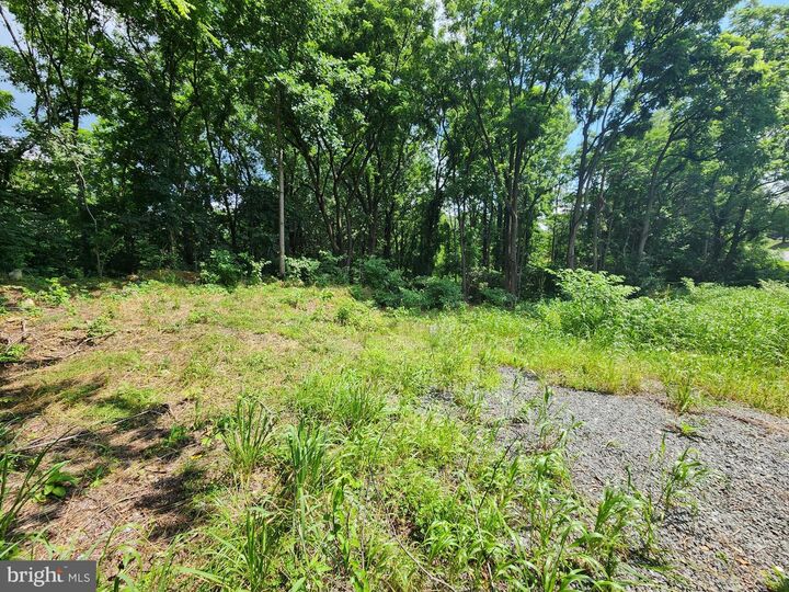 Property Photo:  0 Brownsville  PA 19608 