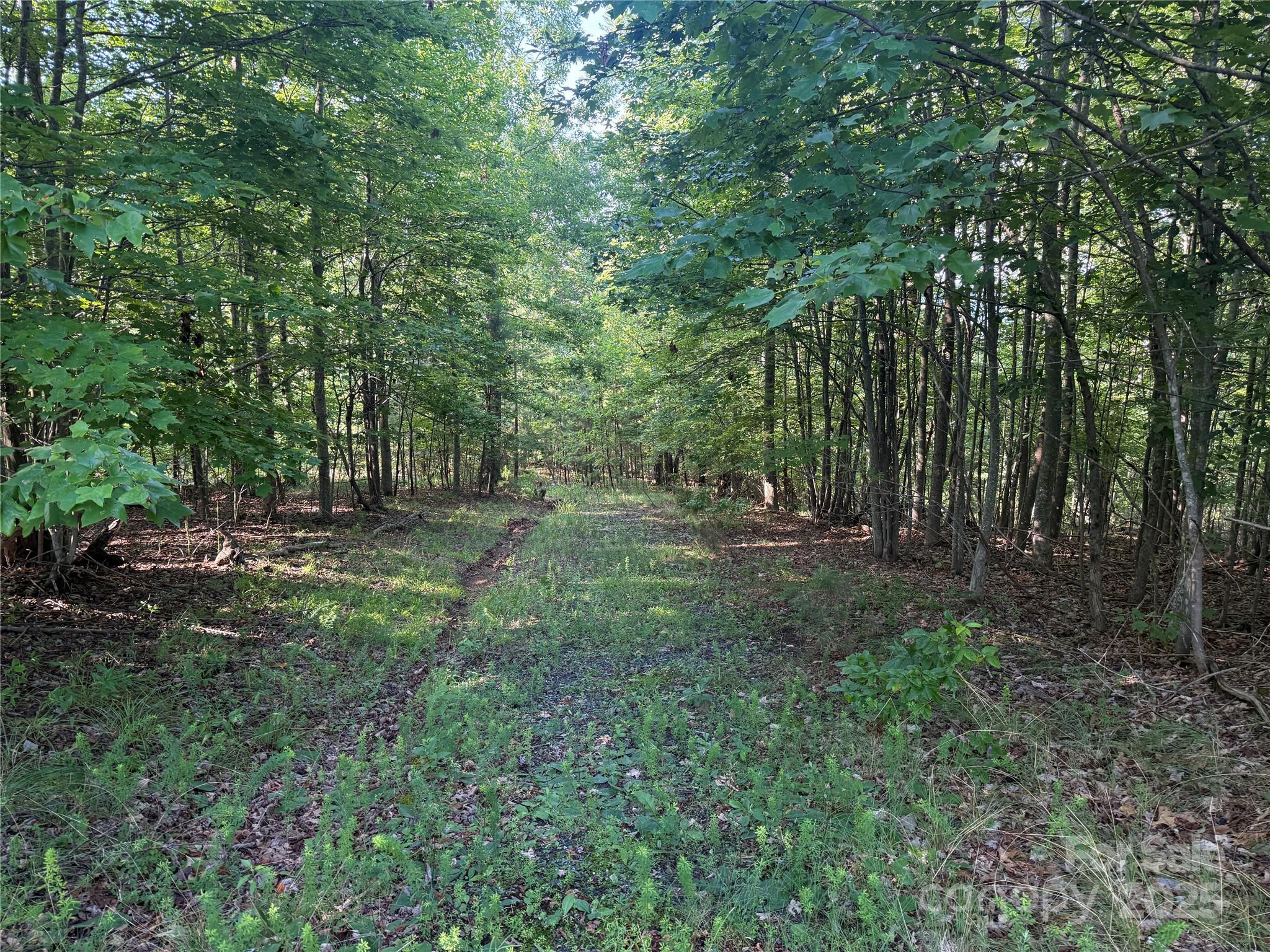 Property Photo: Lot 332 Scenic Vista Drive 332 NC 28761