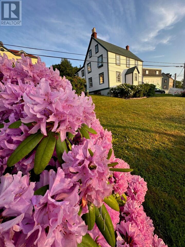 Property Photo: 19 West Street NL A0C 2S0