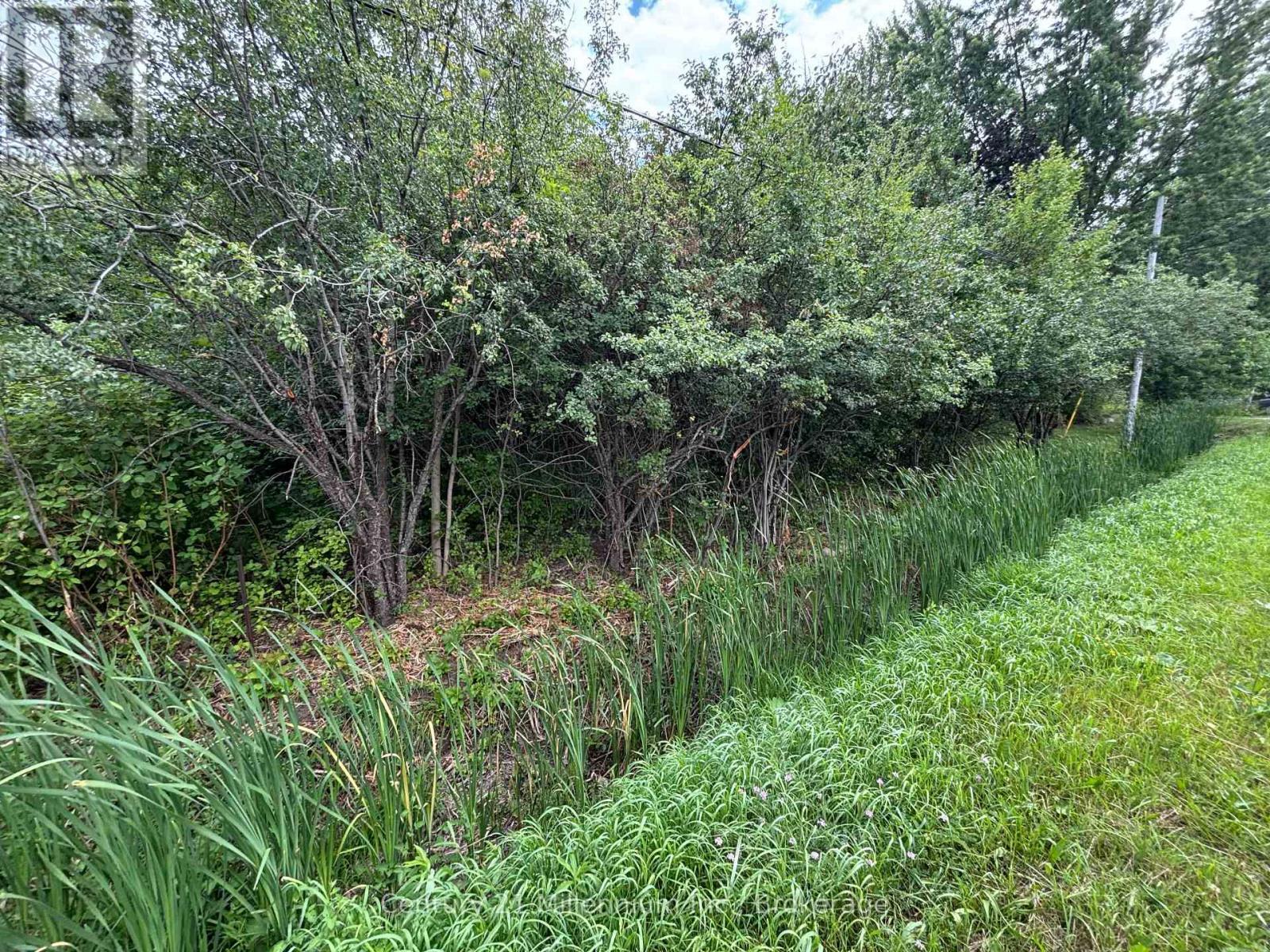 Property Photo:  Pt Lt 10 3rd Line  ON N4L 1W7 