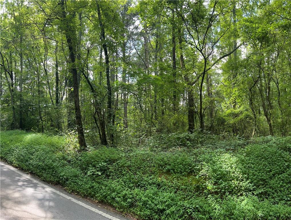 Property Photo: Tract2 S McCollum Drive GA 30114