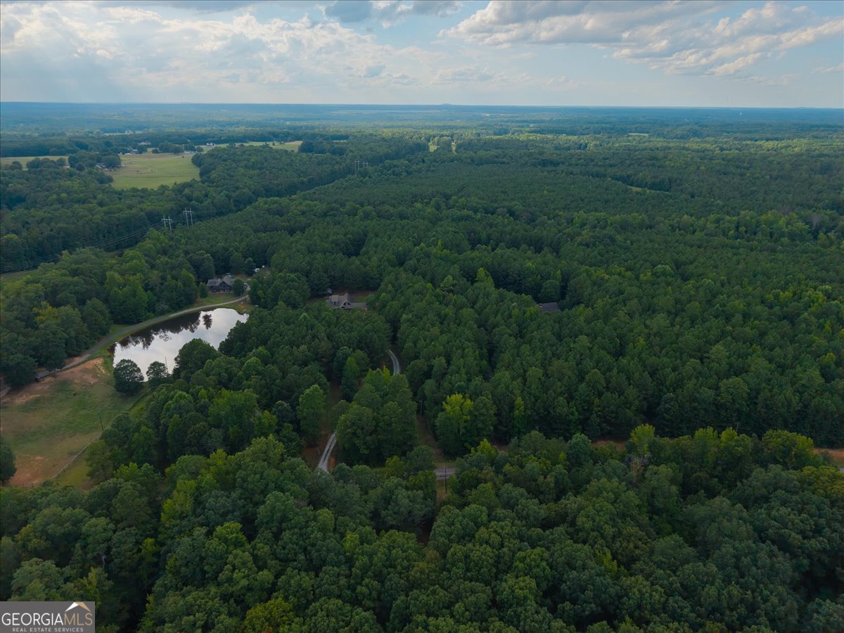 Property Photo: 0 Dickson Road GA 30663