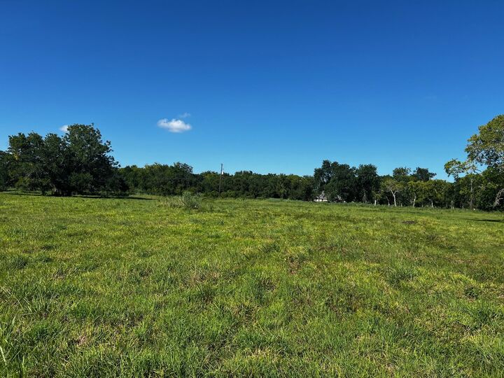 Property Photo:  33211 Blue Marlin Drive  TX 77515 