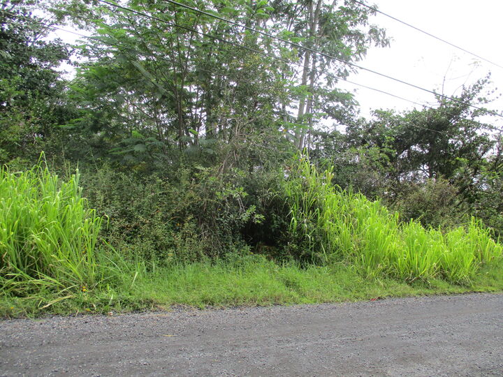 Property Photo: 17th Ave HI 96749