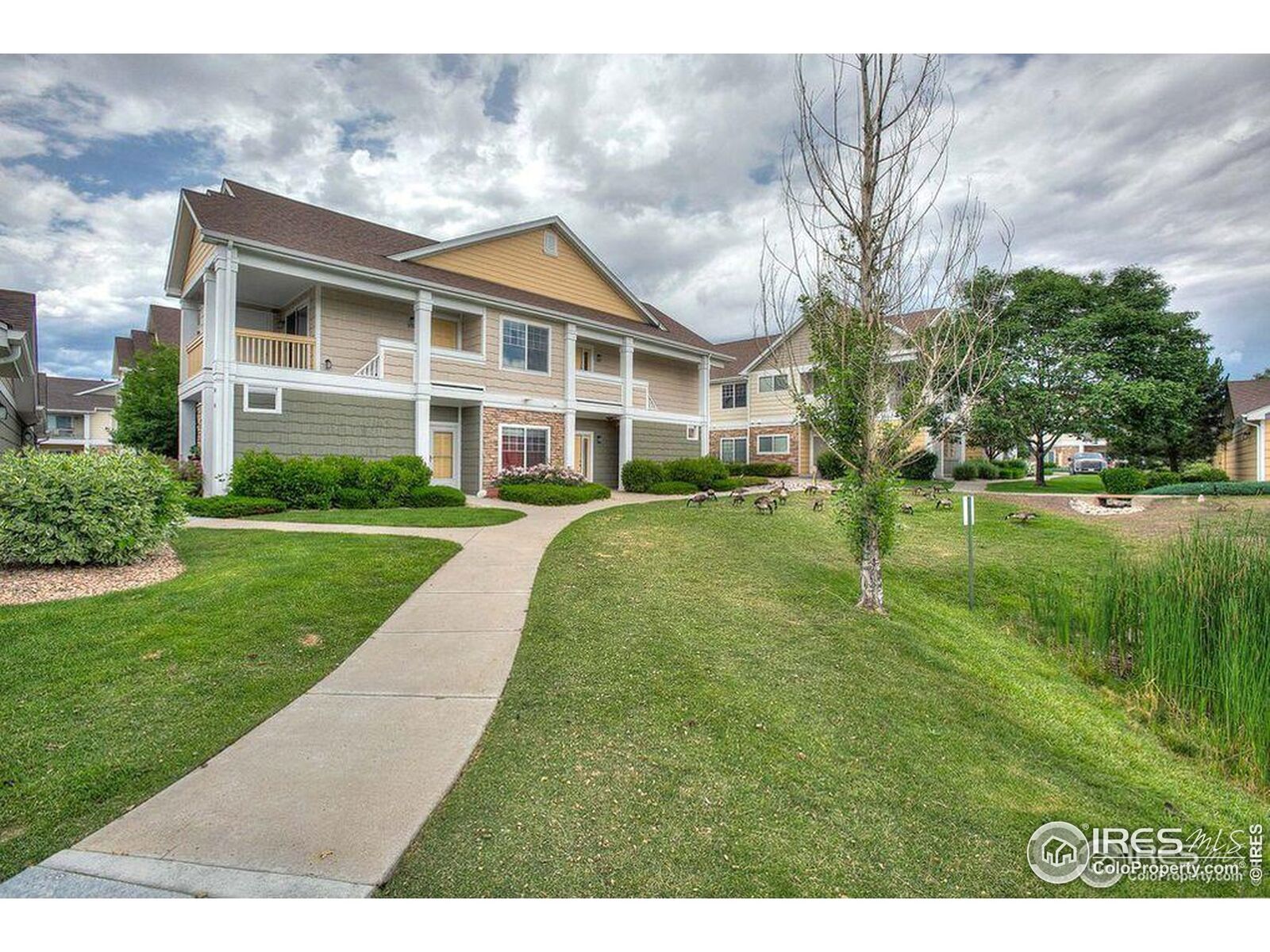 Property Photo:  4815 Hahns Peak Dr 204  CO 80538