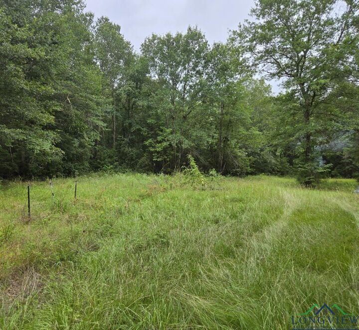 Property Photo:  5770 Cr 364 S  TX 75654 