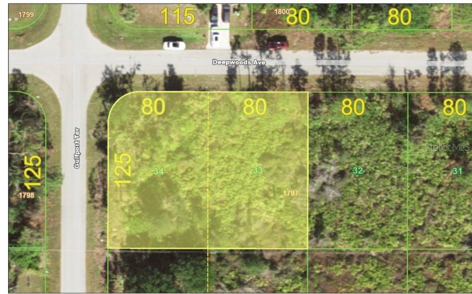 Property Photo: 12399 Deepwoods Avenue FL 33981