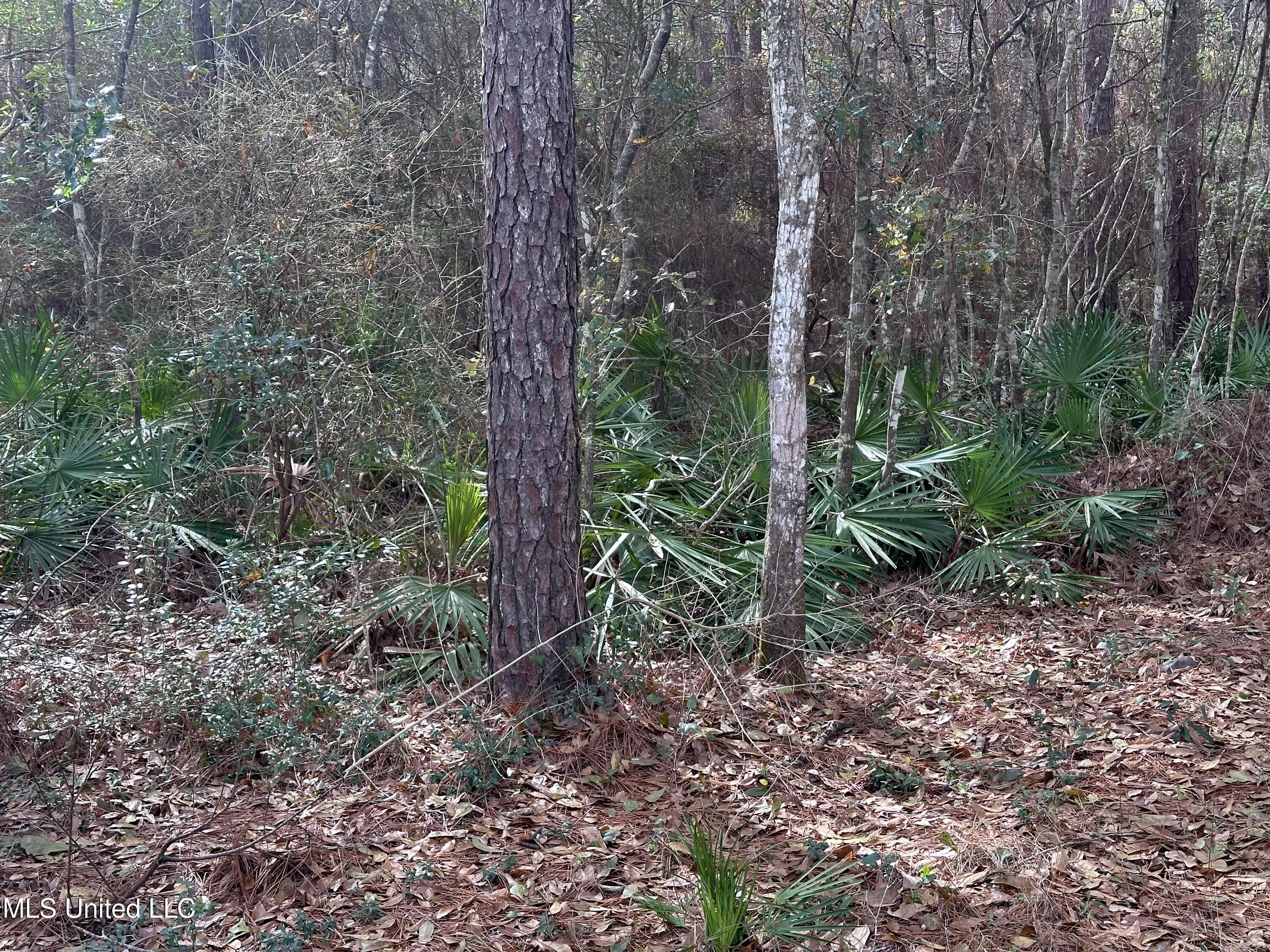 Property Photo: 6461 Simmons Drive MS 39560