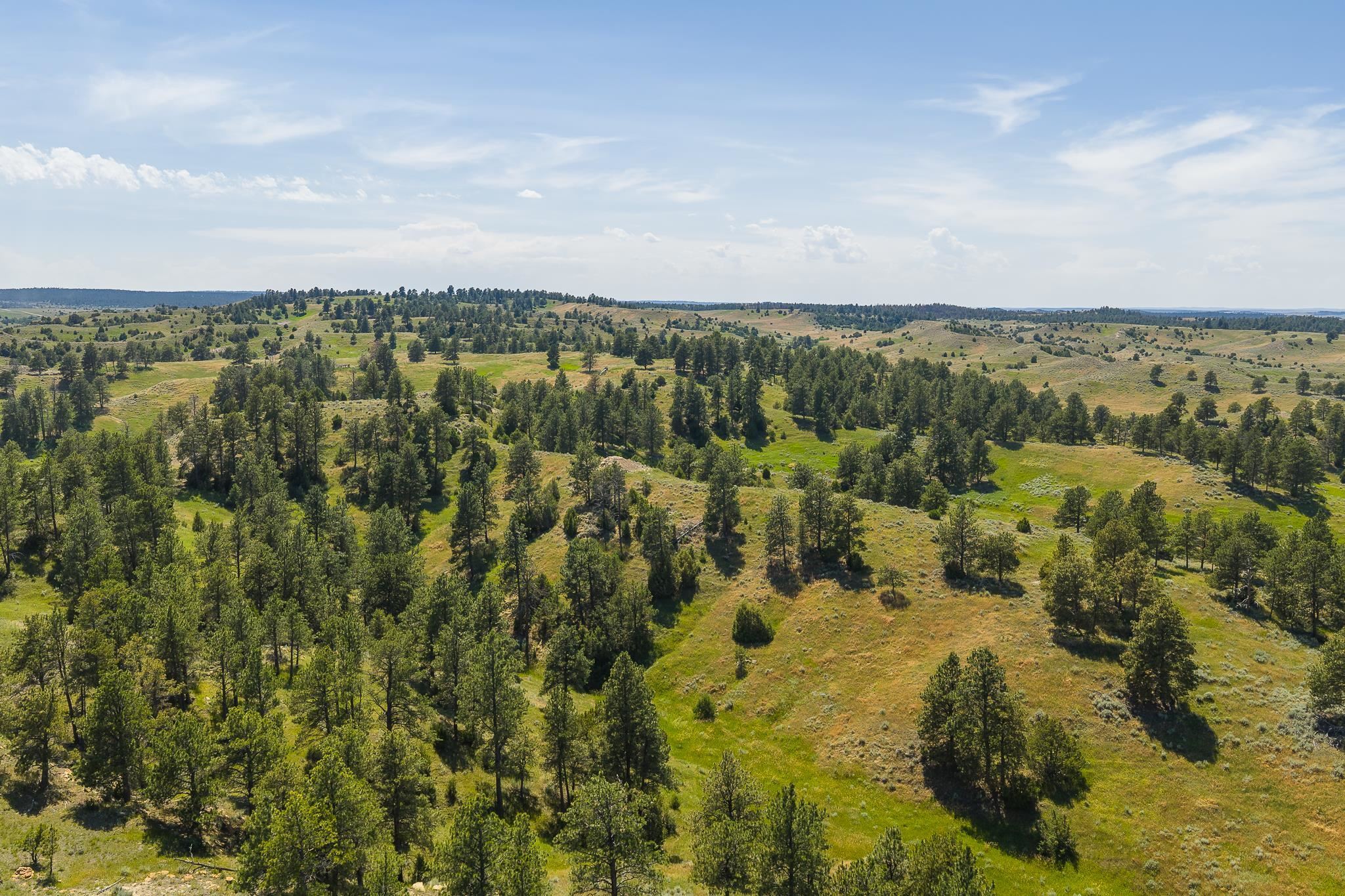 Property Photo:  499 Government Canyon Rd  SD 82720 