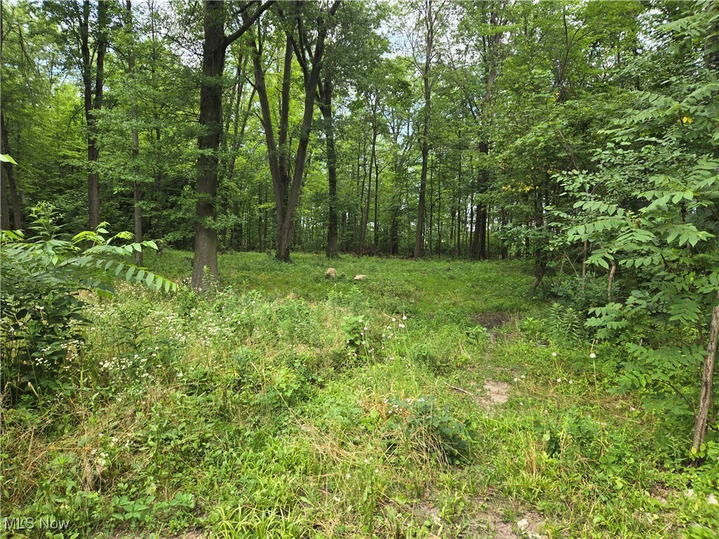 Property Photo: Vl School Street OH 44055