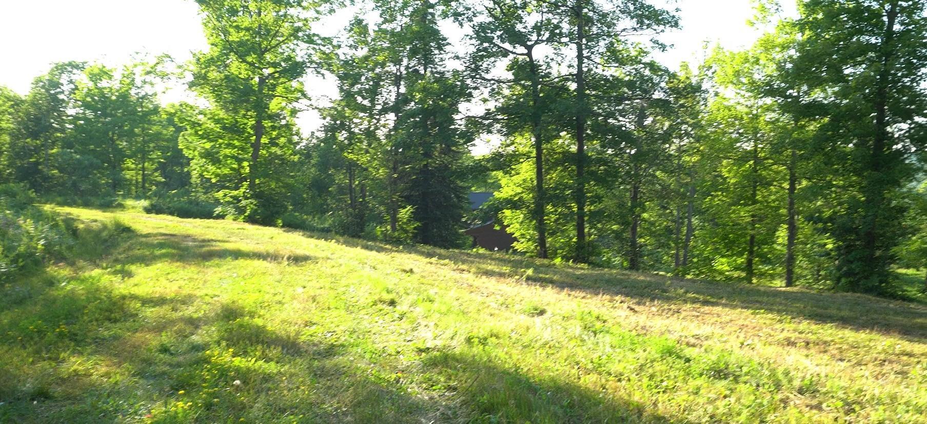 Property Photo:  83xxx - Lot 6 Ashwabay Heights Road  WI 54814 